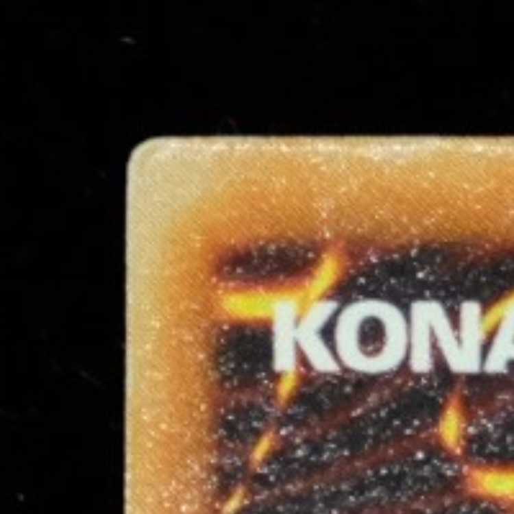 値下中 遊戯王 ダーク・ネクロフィア レリーフ アルティメットレア