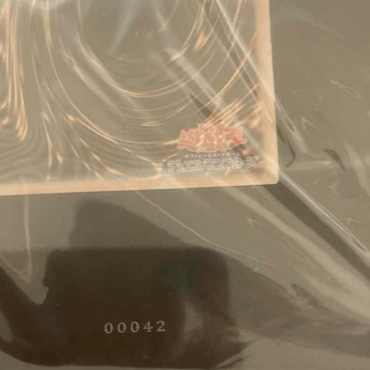 遊戯王 ブラックマジシャンガール ステンレス シリアルナンバー42 1枚