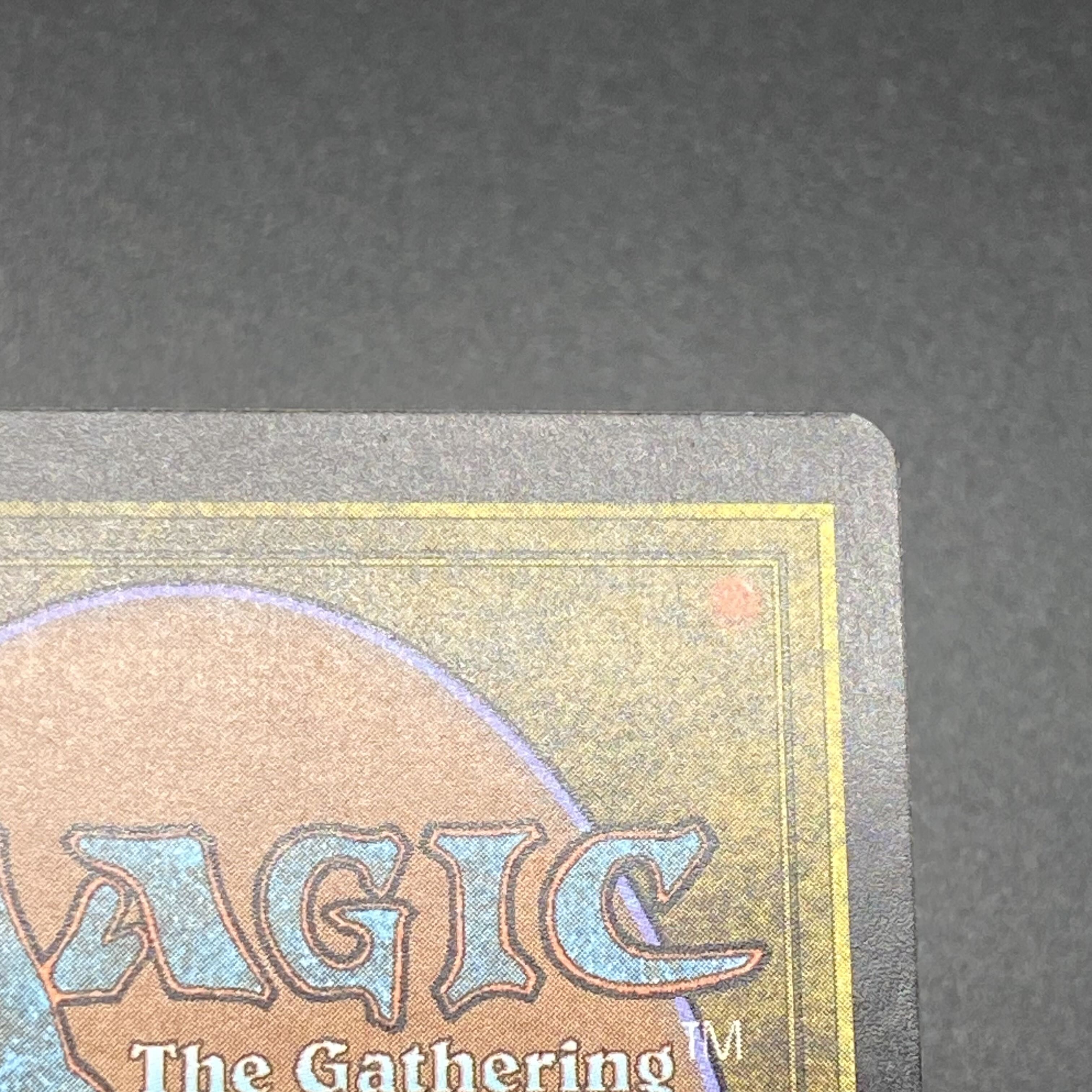 血染めのぬかるみ JP Foil レア 313/350 1枚の通販 土日祝休@magi公式