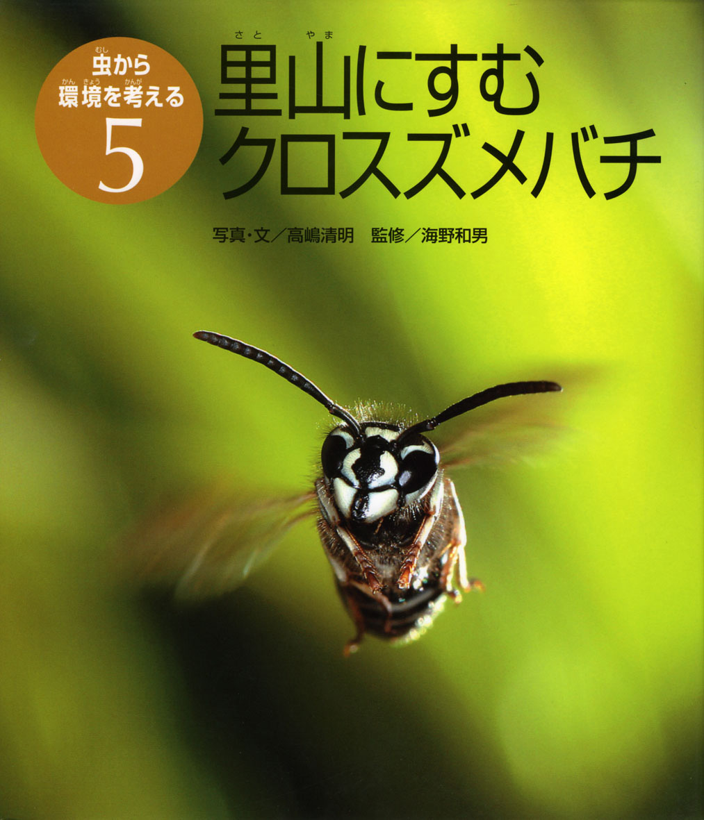 里山にすむクロスズメバチ - 偕成社 | 児童書出版社