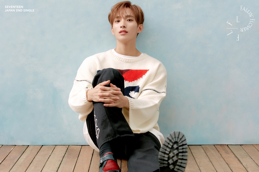 SEVENTEEN JAPAN 2ND SINGLE「舞い落ちる花びら (Fallin' Flower)」