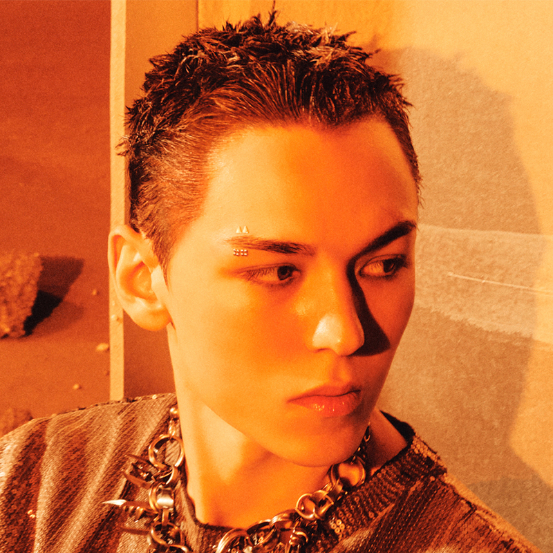 PROFILE | SEVENTEEN Japan official site