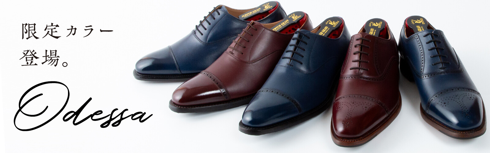 オデッサシリーズ 秋にぴったりな限定カラー登場！ │ スコッチ