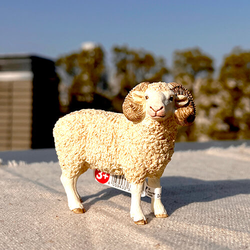 13937 schleich ヒツジ（オス）｜動物・恐竜フィギュアのZOOO!