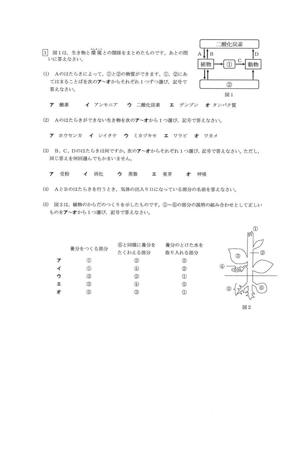 入試過去問（問題）（1ページ目）｜岡山理科大学附属中学校の入試過去問
