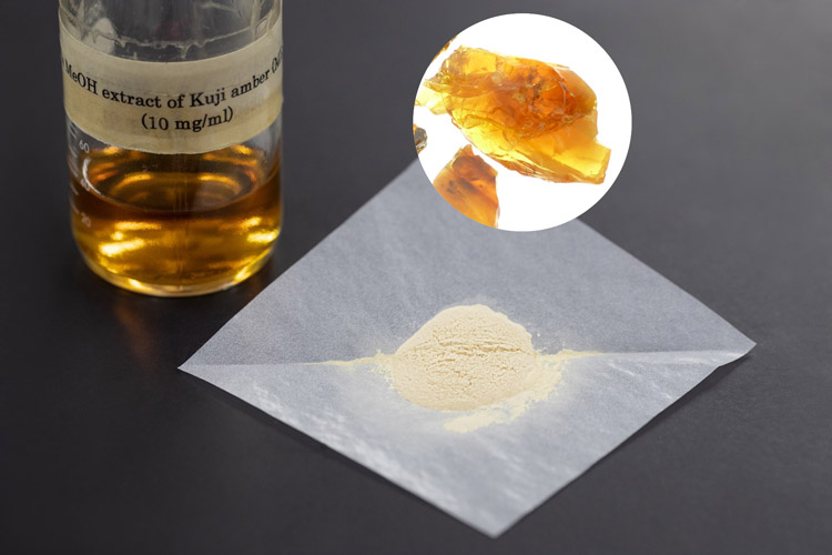 琥珀の新たな付加価値を求めて【地面の下のたからもの】 | Science