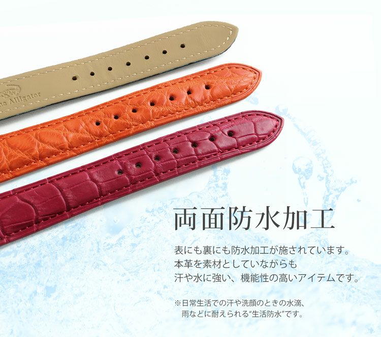 腕時計 付け替え用 ベルト 本革 メンズ アリゲーター 鰐皮 22mm