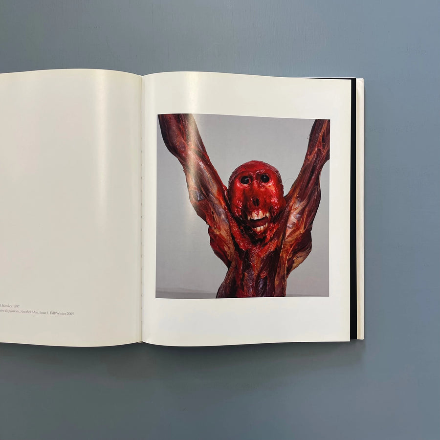 Nick Knight - Collins Design 2009 - Saint-Martin Bookshop