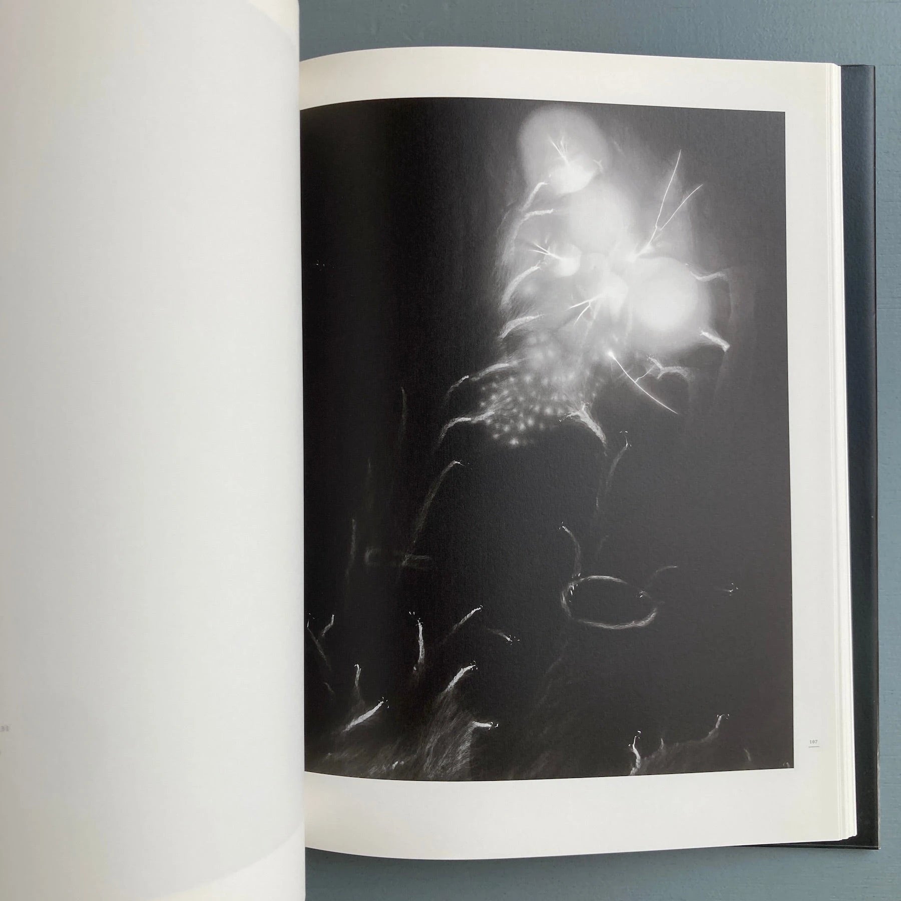Hiroshi Sugimoto - Nature of light - Izu Photo 2009 - Saint-Martin