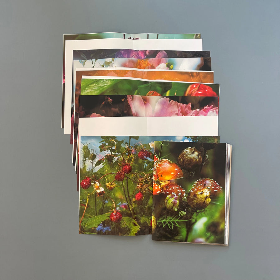 Peter Fischli, David Weiss Musée d'Art Moderne de la Ville de