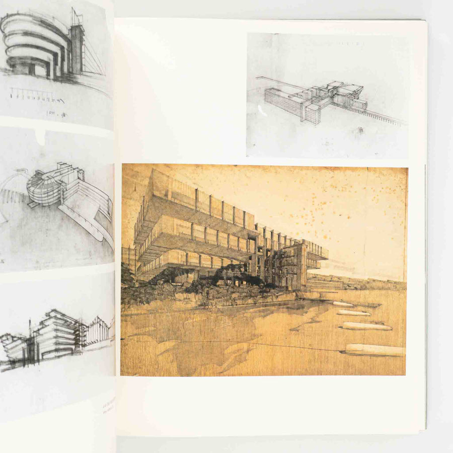 The Architecture of R.M. Schindler – Saint Page