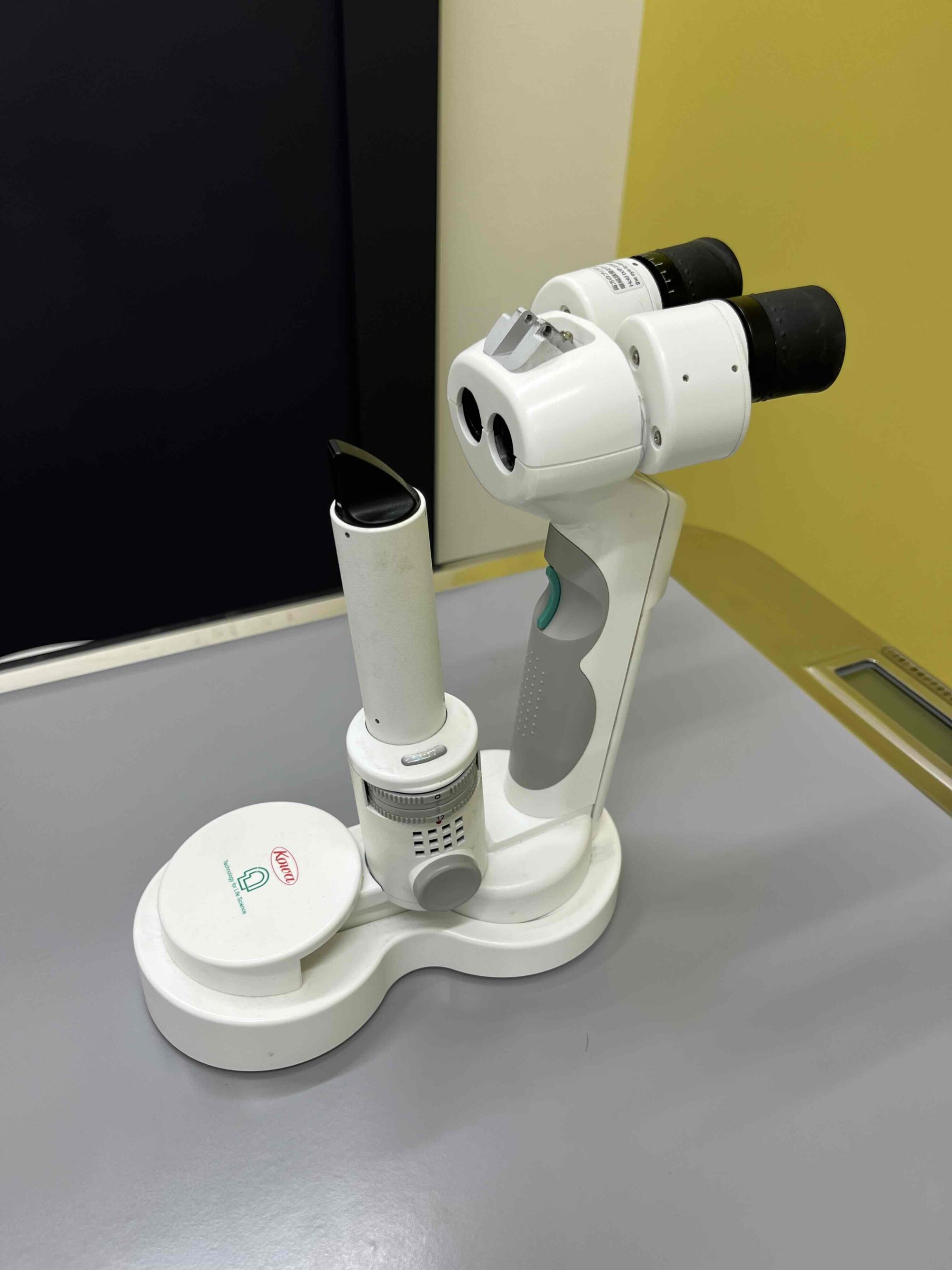 当院の眼科診察について | 堺おおのしば動物病院