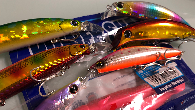 フラットフィッシュのタックルセレクト術！初心者がこれから揃える道具