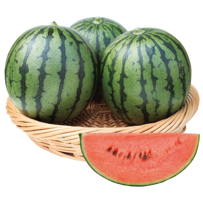 小玉スイカ 愛娘さくら｜種（タネ）,球根,苗,資材,ガーデニンググッズ