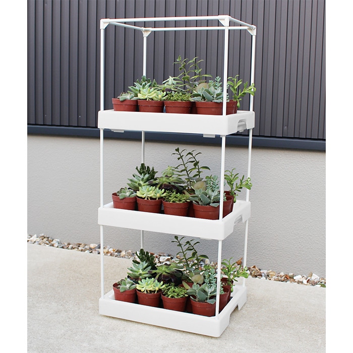 多肉マンション｜種（タネ）,球根,苗,資材,ガーデニンググッズの通販は