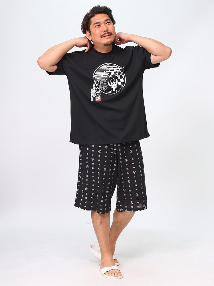 半袖 Tシャツ ハーフパンツ 上下セット 天竺 BIGプリント セットアップ