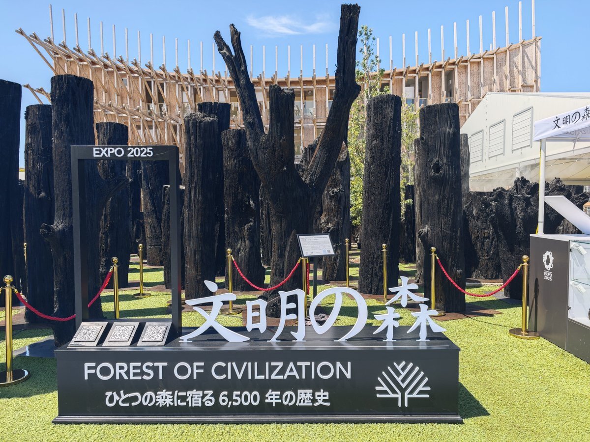 大阪・関西万博】7/20から！6500年眠った古代樹「文明の森」が再