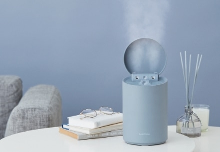 ピュアブライトスチーマー | SALONIA(サロニア)公式サイト