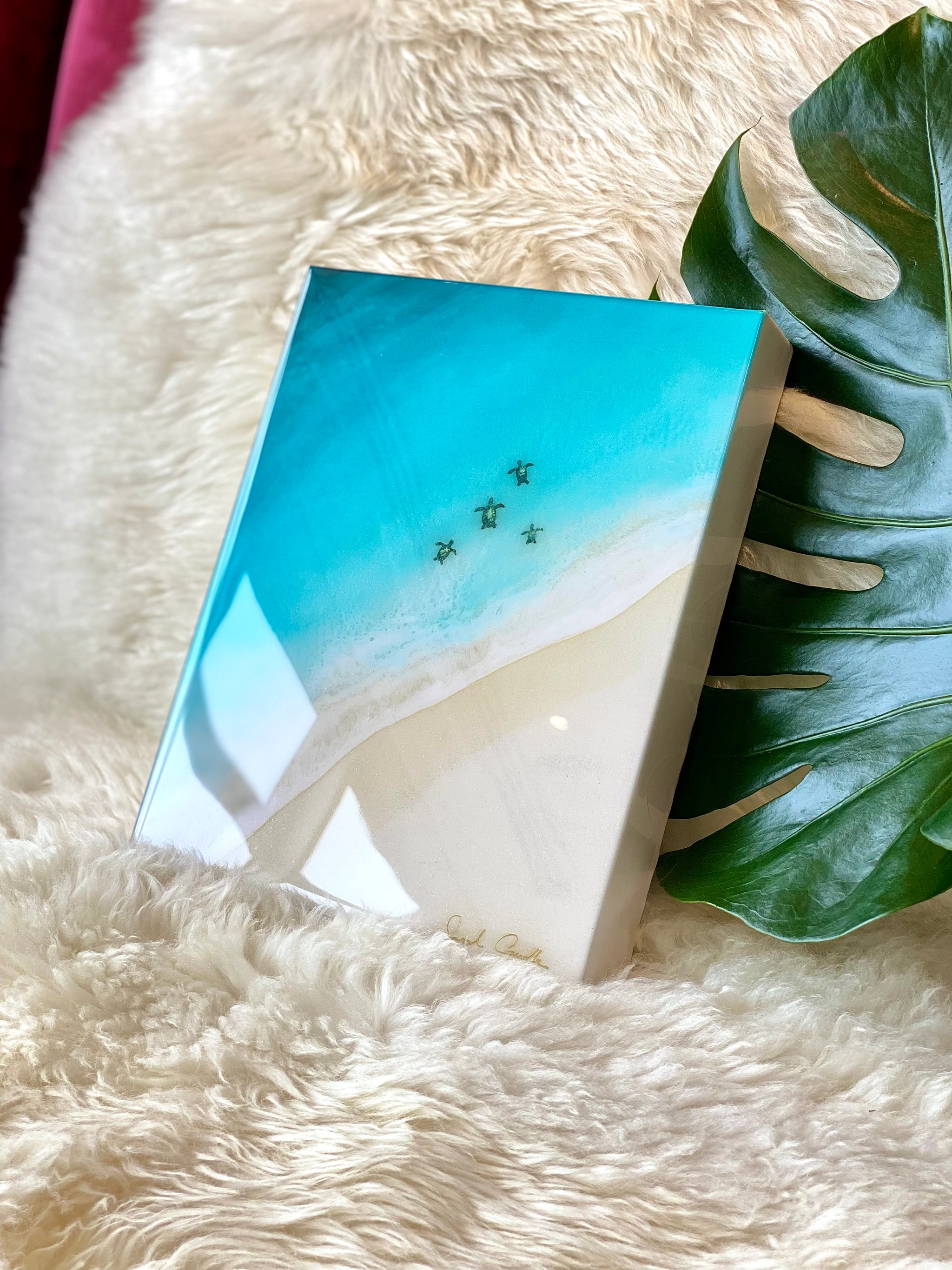 HonuOhana_01_2048x.jpg?v=