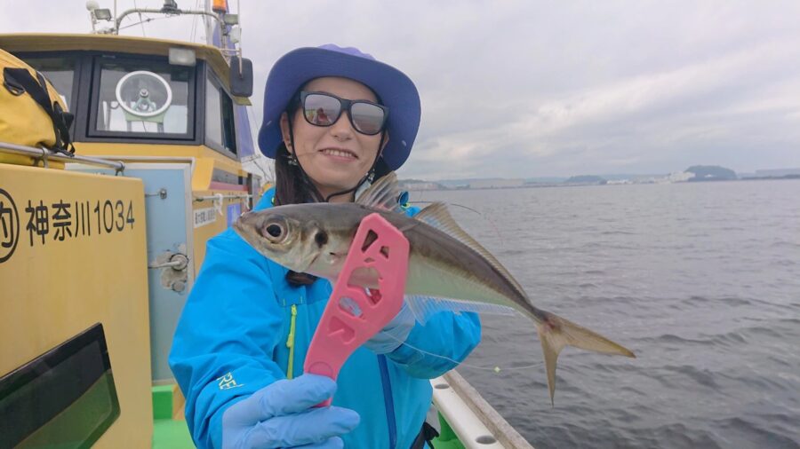 スタッフ千鮎釣行記～金沢八景/アジ20匹くらい～ – フィッシング相模屋