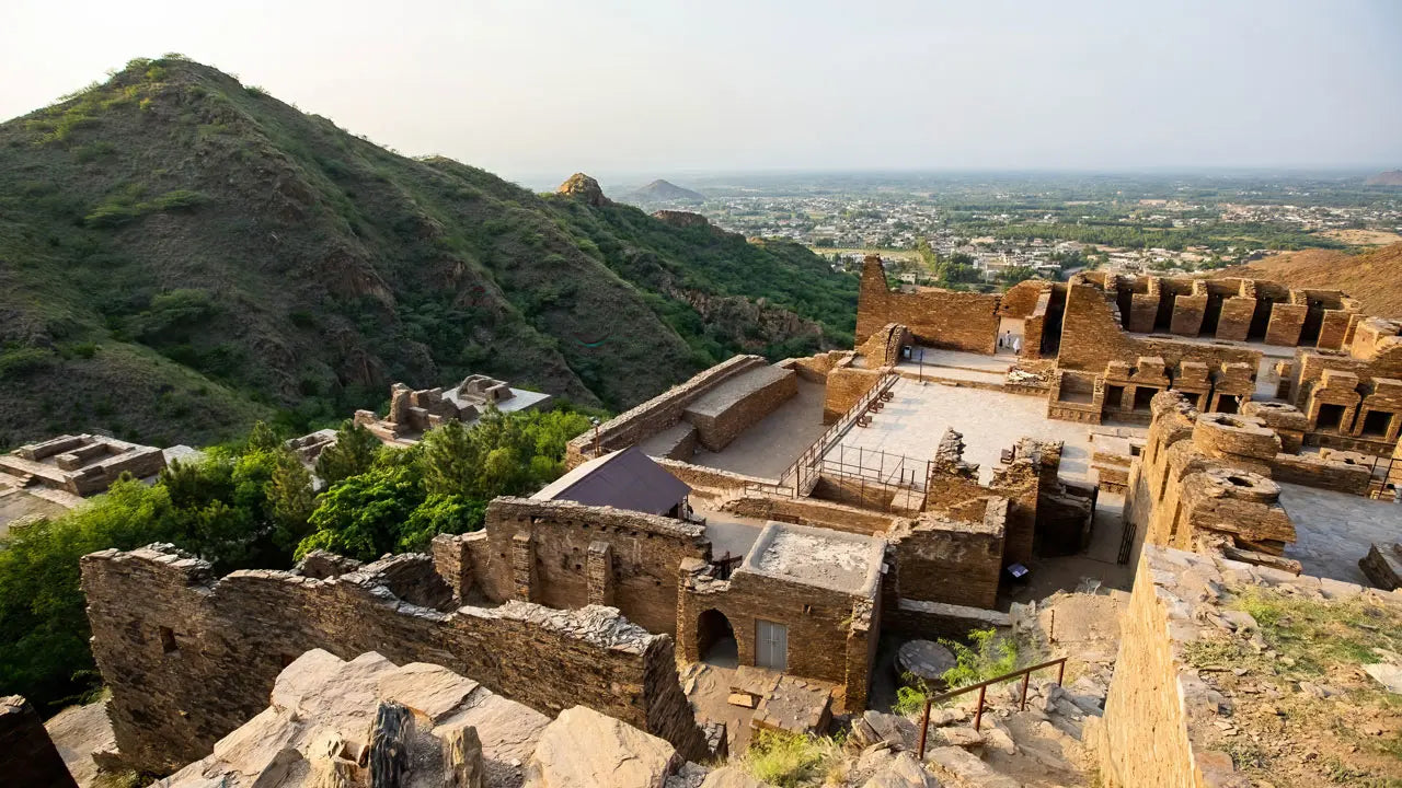 ペシャワール【サティラグス | 手織り絨毯専門店】