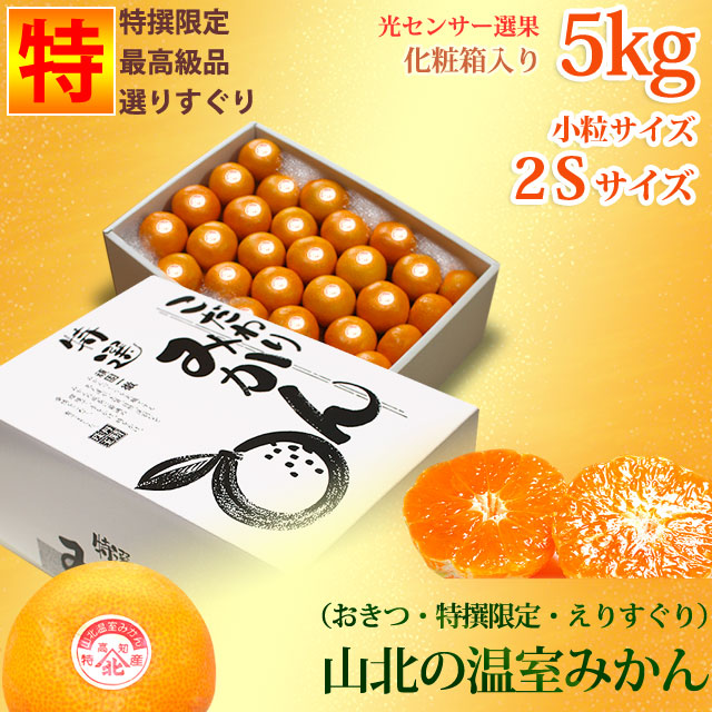 山北の温室みかん 特撰5kg2S化粧箱 さとのわ