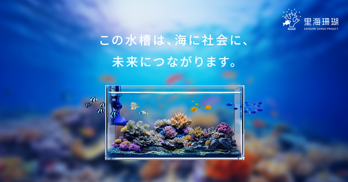 里海珊瑚プロジェクト｜プレスルーム