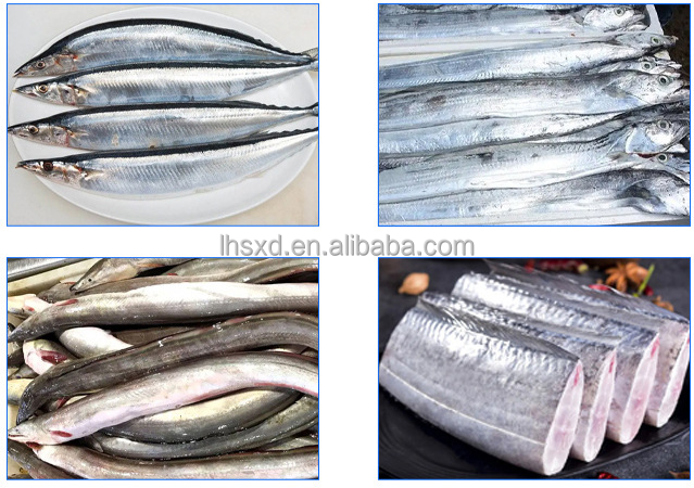 冷凍魚切断機/マグロ魚セグメント脱頭機/頭尾切断機/カツオ切断機