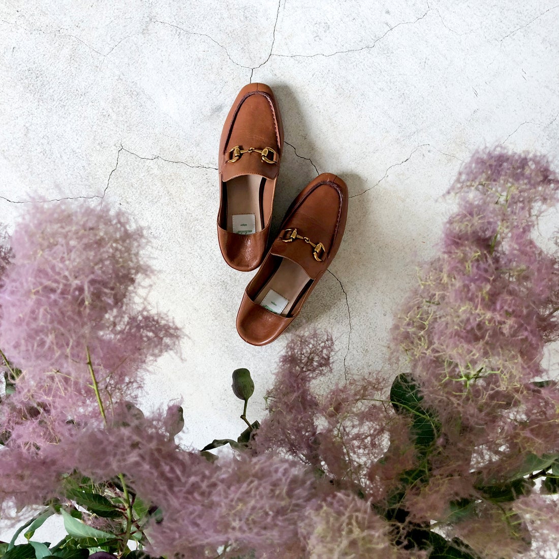 本革ビットローファーバブーシュ （ブラウン） -エンチャンテッド