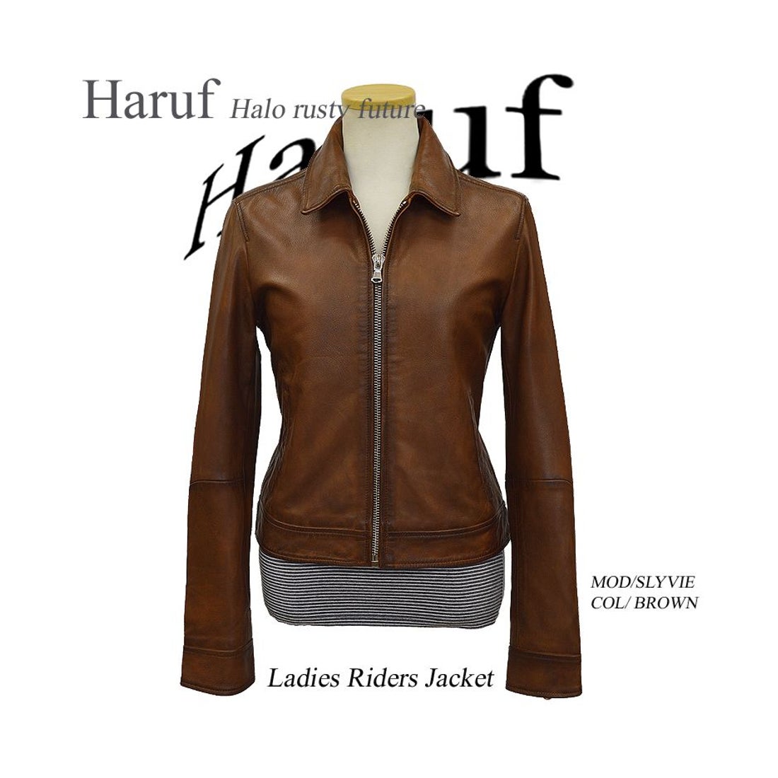 大きいサイズ】23区 レディース シングルライダース 羊革 ブラウン