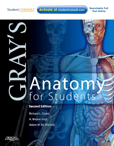 Gray's Anatomy for Students - 2nd Edition | Elsevier Shop