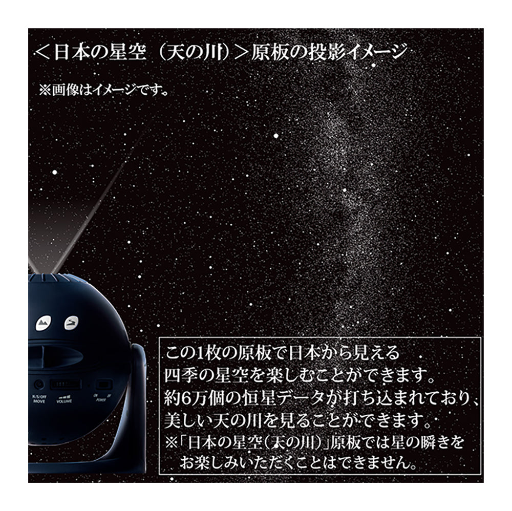 Homestar（ホームスター）ミッドナイトネイビー | セガ フェイブ