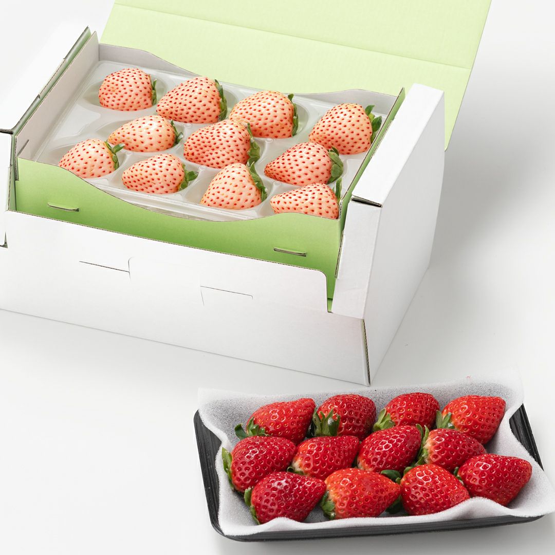 5,000円台 ｜Seika（せいか）国産フルーツギフト専門店