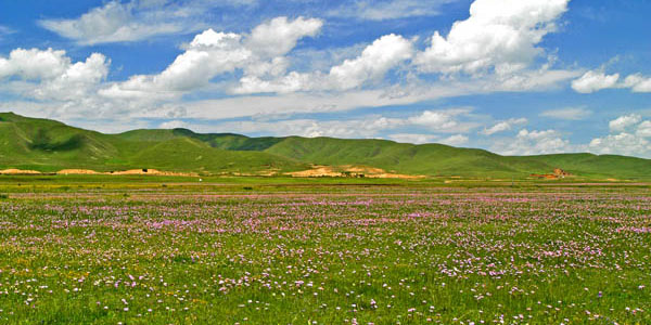 ソルゲ草原観光案内 | 四川省中国旅行社