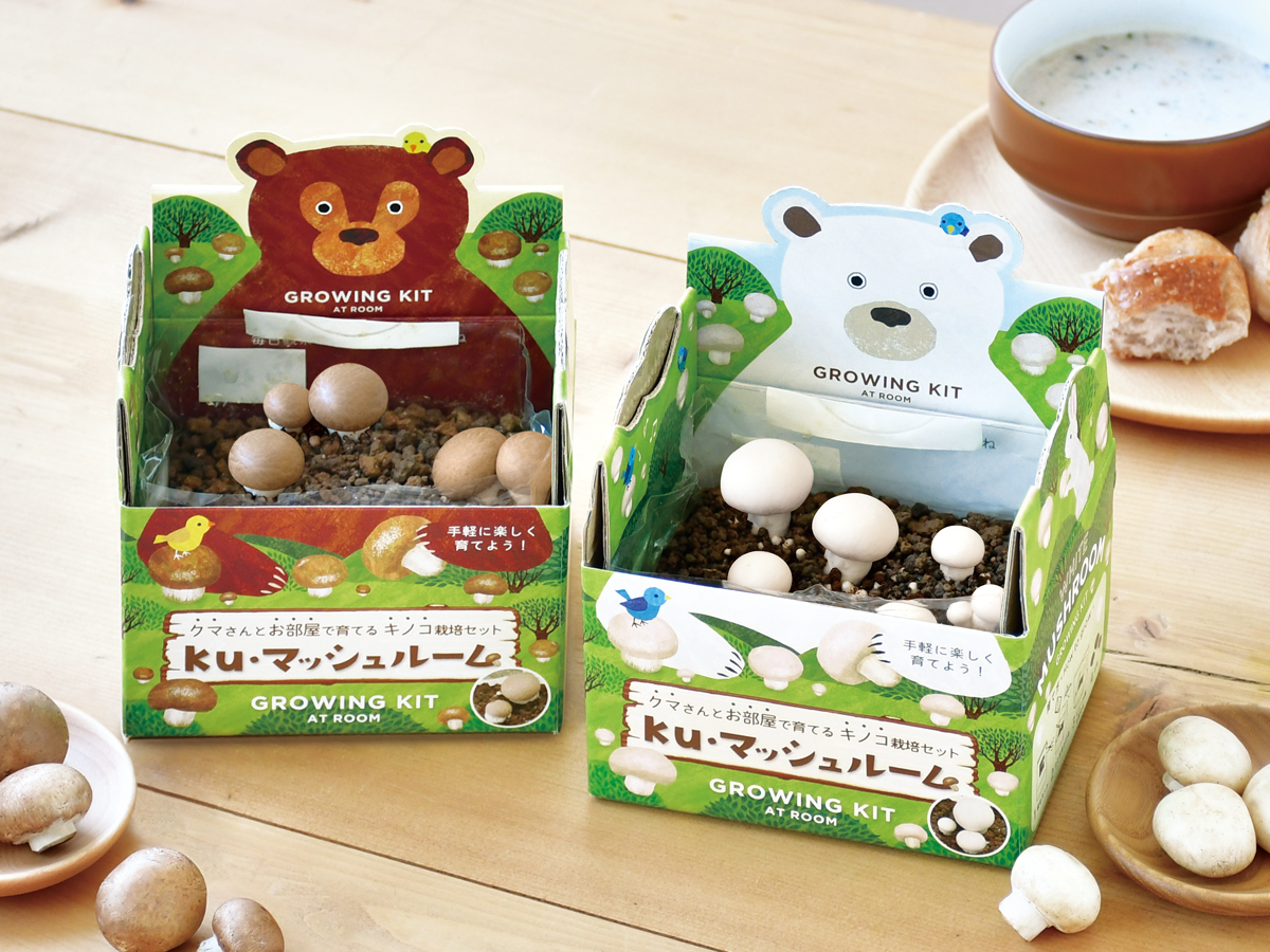 ku・マッシュルーム栽培セット - 聖新陶芸株式会社｜栽培キットの企画