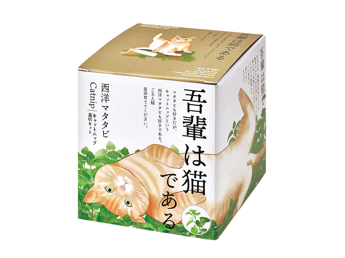 西洋マタタビ栽培キット - 聖新陶芸株式会社｜栽培キットの企画・製造