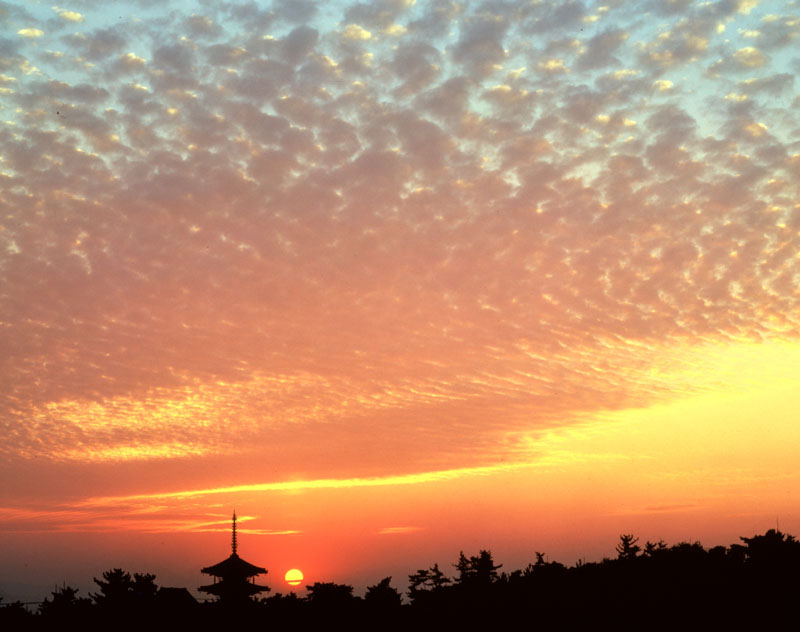 入江泰吉が見た奈良・大和路を歩く】第3回 写真家が生涯追いかけた