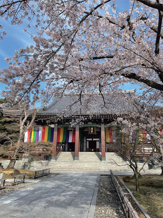 長谷川等伯の息子・長谷川久蔵による国宝『桜図』を見る【『サライ』4