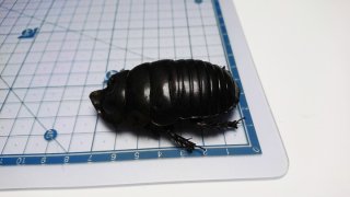 70726f647563742f32303231313230