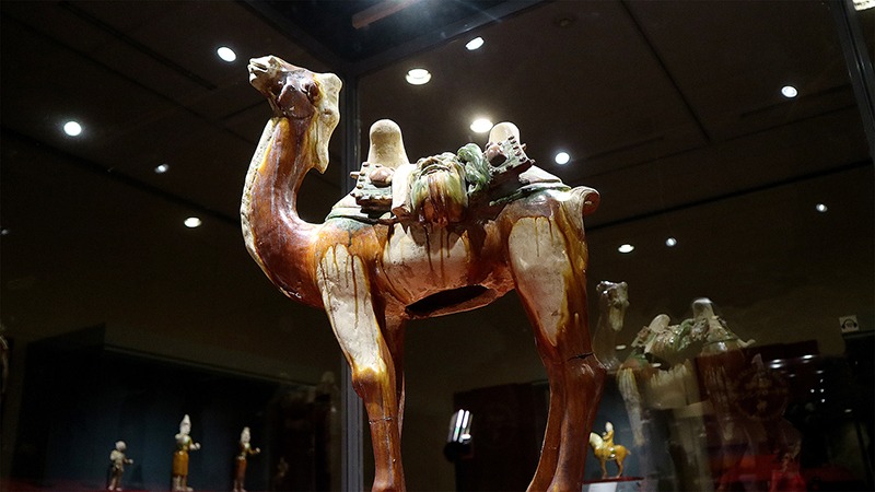 シルクロード 長い道程を経て東西の文明を結ぶ壮大な物語【京都文化