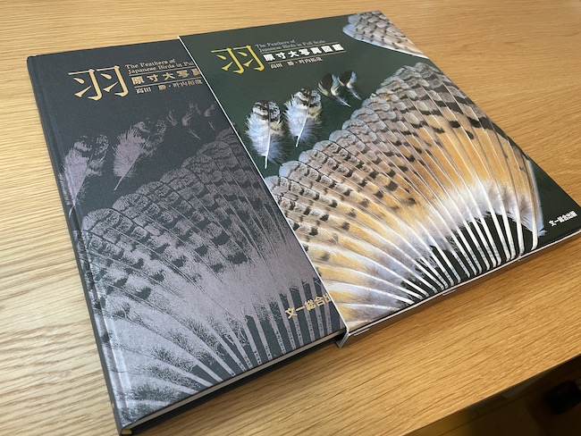 ブックレビュー】原寸大写真図鑑 羽 増補改訂版／叶内拓哉・高田勝