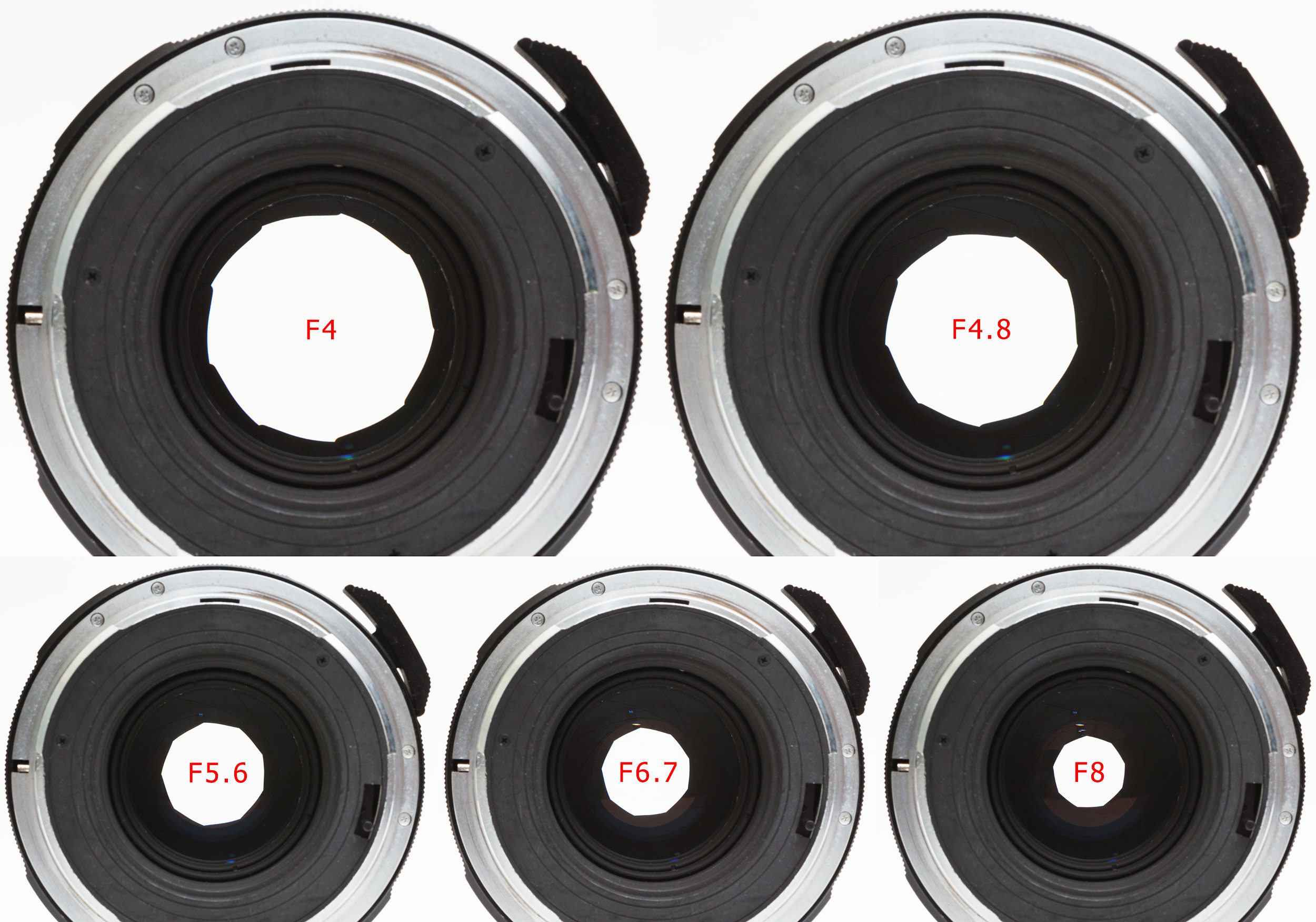 Takumar 6X7 150mm F2.8: Lens review, Details, Bokeh, Samples