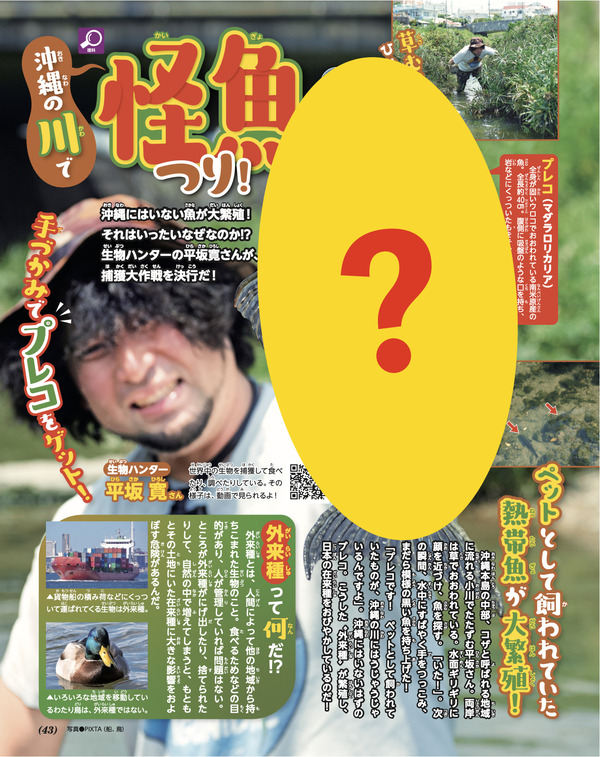 ほるぷ出版 新品らいおんコース46冊まとめ売り（小学高学年用）大特価