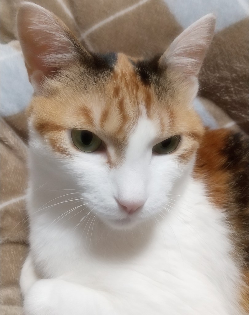 スタートアップ キット: シリーズから探す / ナリスオンラインストア