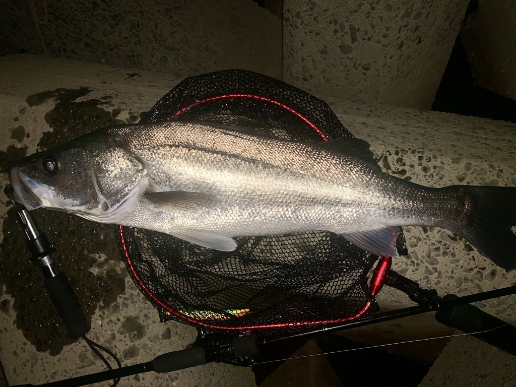 ヤマガブランクス ブルーカレント 85/TZ NANO オールレンジの口コミ