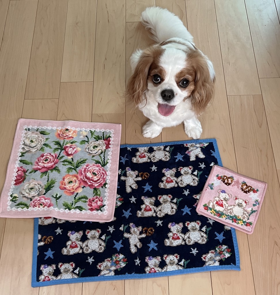 リーベ＆リリア ゲストタオル(ペールピンク): FEILER｜フェイラー公式