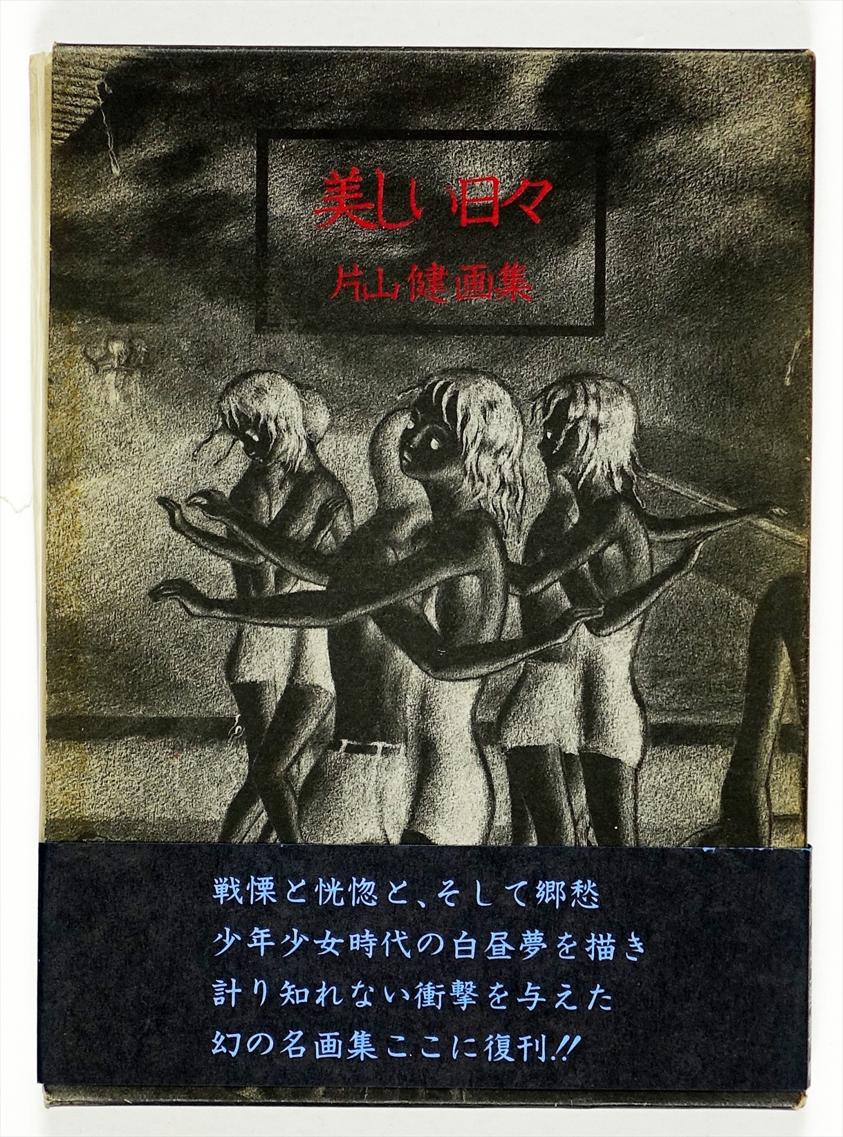 美しい日々 片山健画集 | 山星書店 初版本 和本 古地図 史料他 在庫