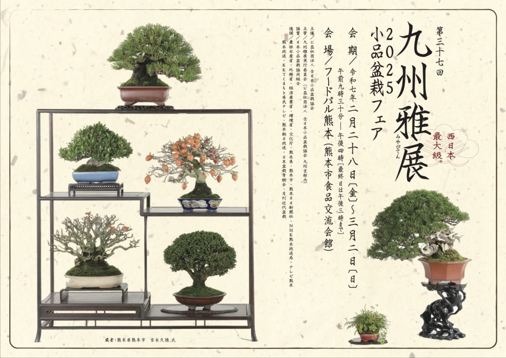 盆栽樹形の作り方 阿部倉吉 五葉松盆栽の作り方―図解で示す盆栽樹形の