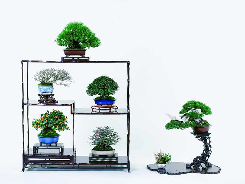 第四十二回雅風展 優秀作品写真 Photograph collection of the 42th