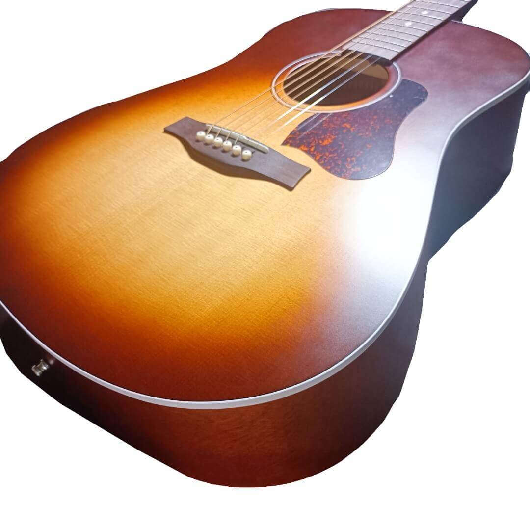 Seagull Entourage Autumn Burst アコギ - - 西尾楽器オンラインショップ